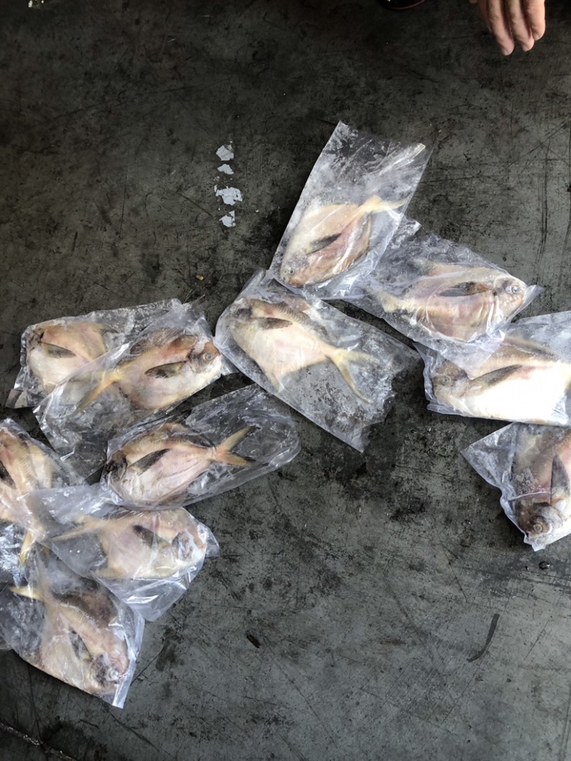 印尼白昌1/2来我家拿货的老板都发财