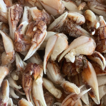 新鲜冷冻沙蟹脚蟹钳蟹脚生呛捞汁材料海洋蟹脚