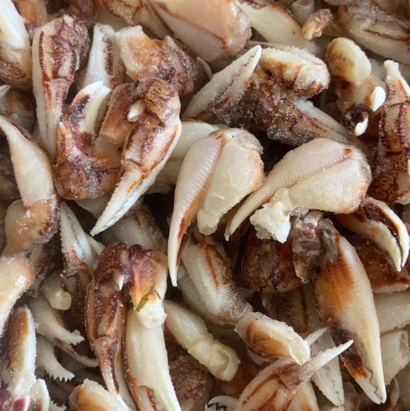 新鲜冷冻沙蟹脚蟹钳蟹脚生呛捞汁材料海洋蟹脚