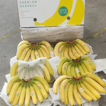 菲律宾进口青蕉二黄蕉！一手货源！大量现货！质量有保证
