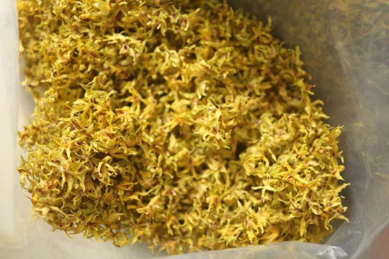 铁皮石斛花干花泡水药用量大优惠