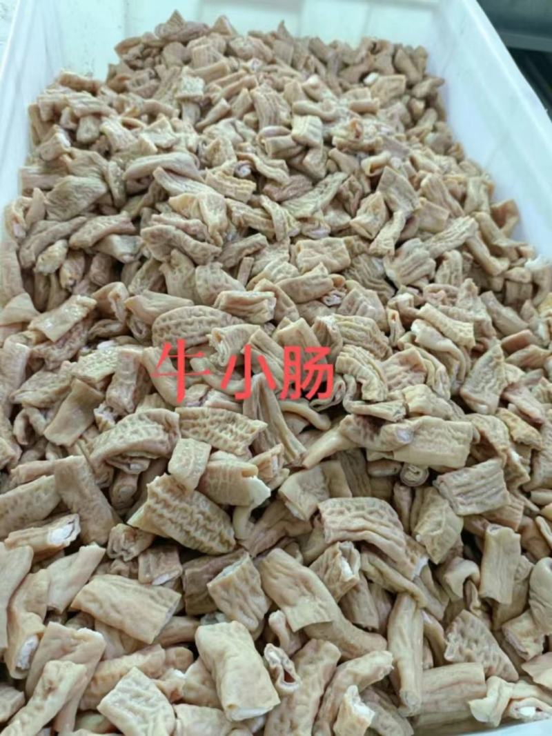 精品牛杂牛肚牛肠牛杂筋牛头肉牛腩伞肚等牛副产品