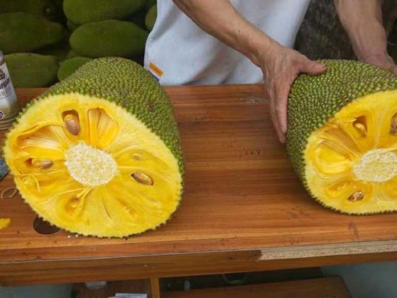 海南菠萝蜜18斤到22斤现摘现发货果大苞多果肉饱满