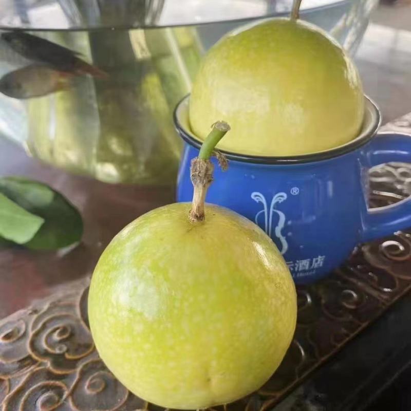 钦蜜九号黄金百香果大量上市，有市场销量的联系我！！！