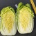 黄心白菜