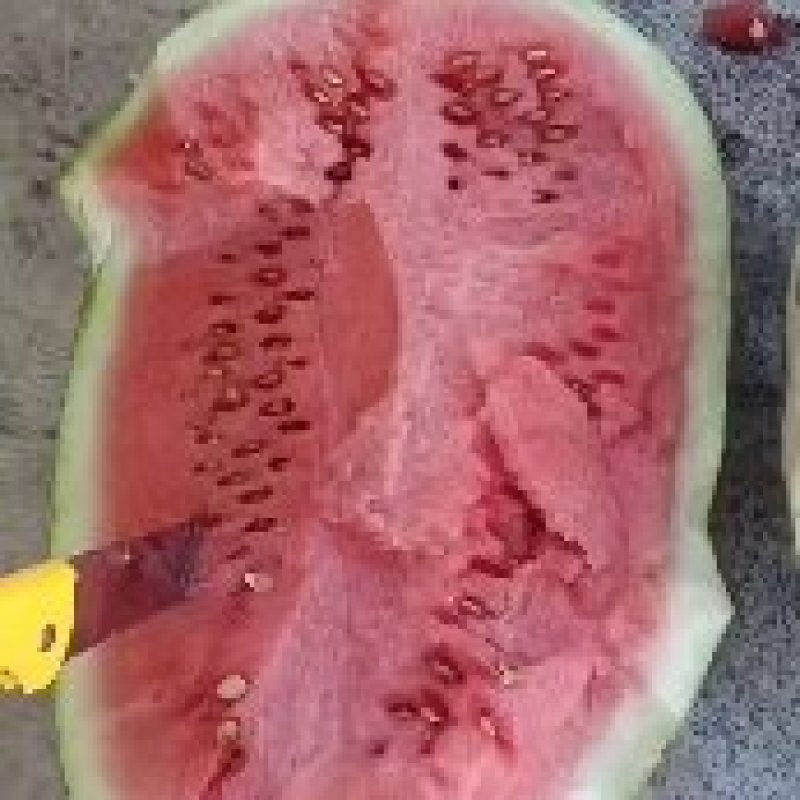 甘肃靖远硒砂瓜大量上市，有想法的联系