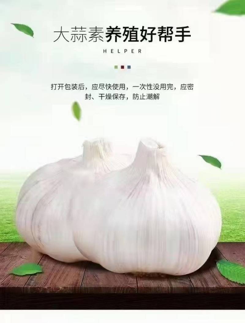 浓缩大蒜素——高效杀菌抗炎
