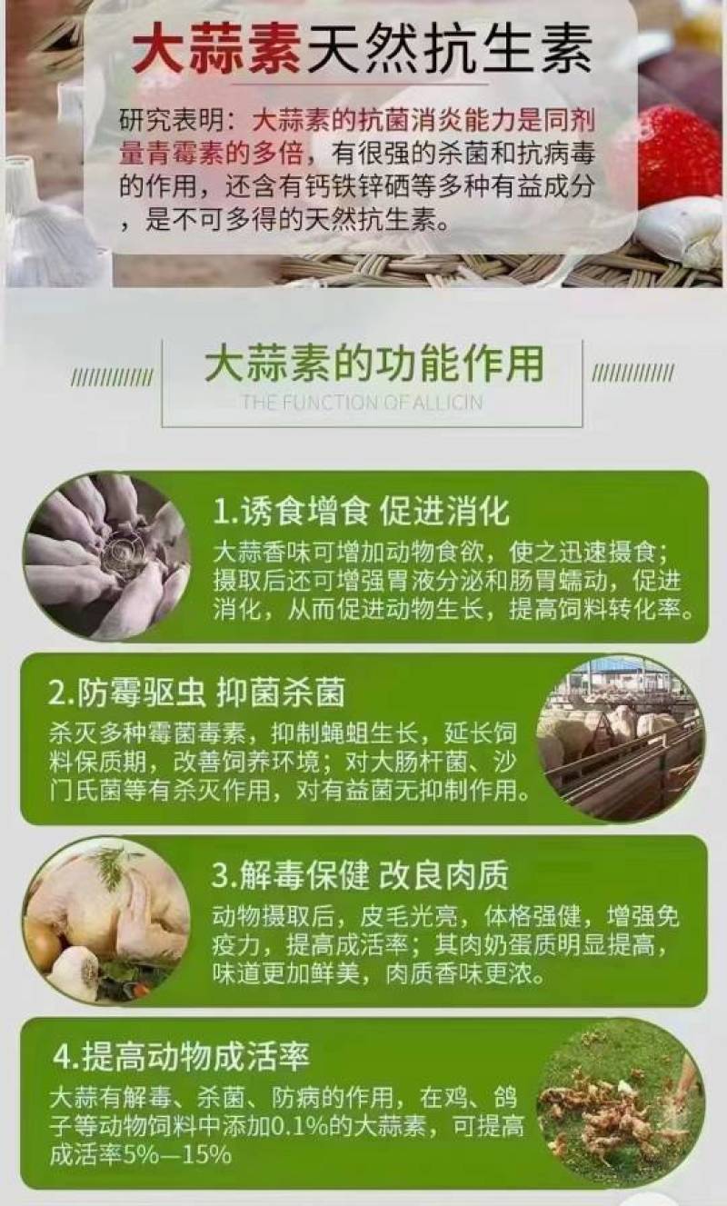 浓缩大蒜素——高效杀菌抗炎