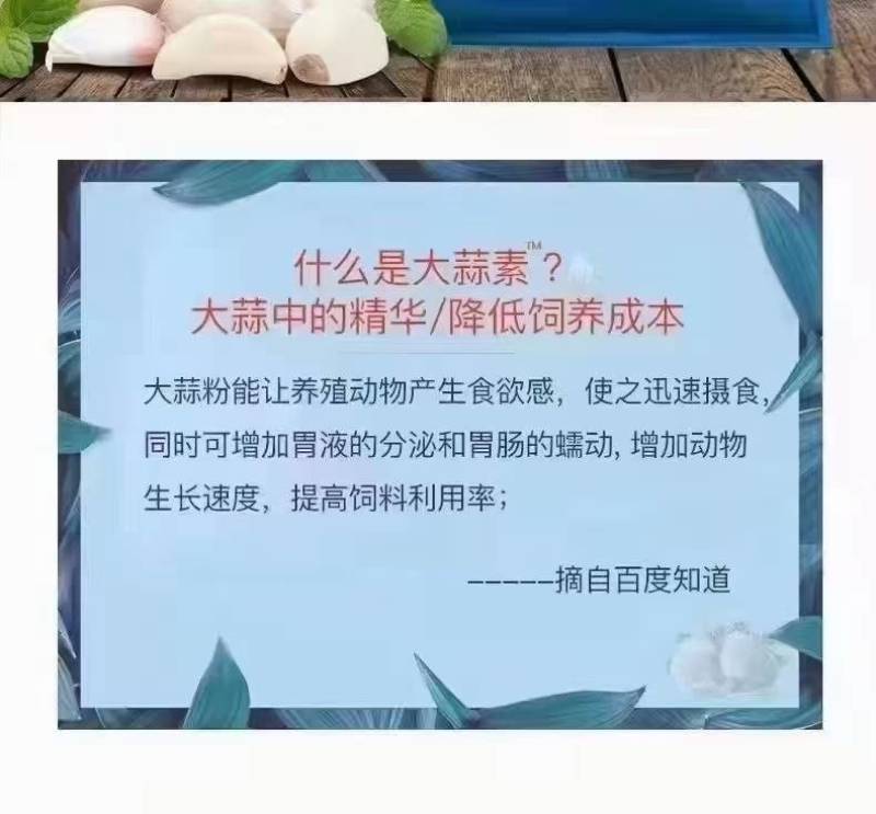 浓缩大蒜素——高效杀菌抗炎