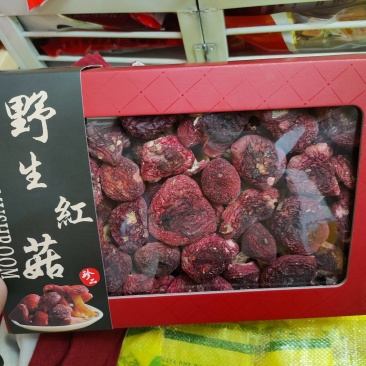 红菇