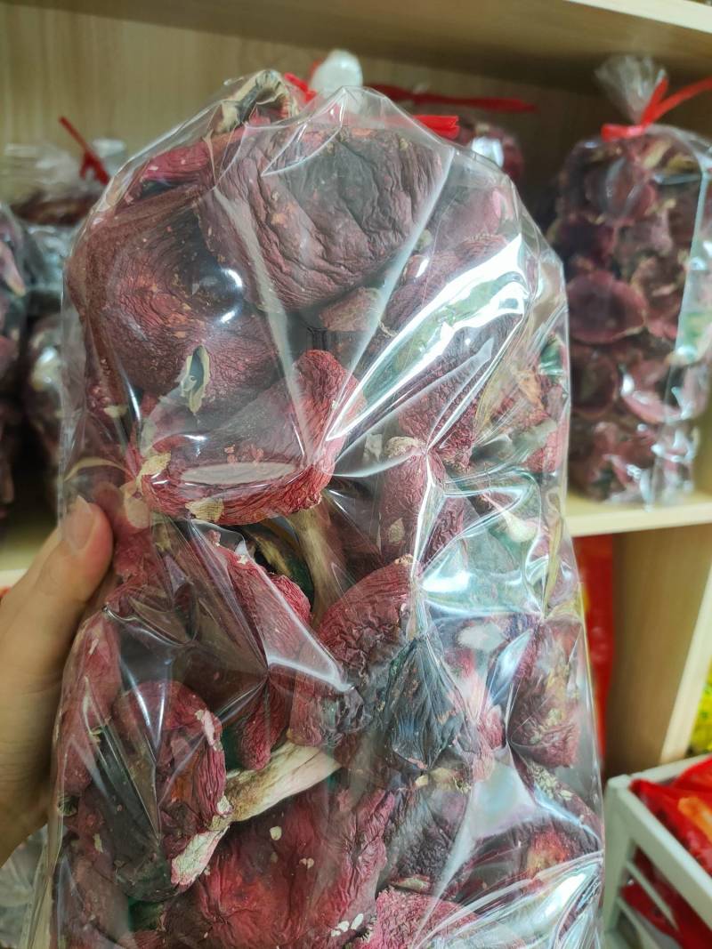 红菇