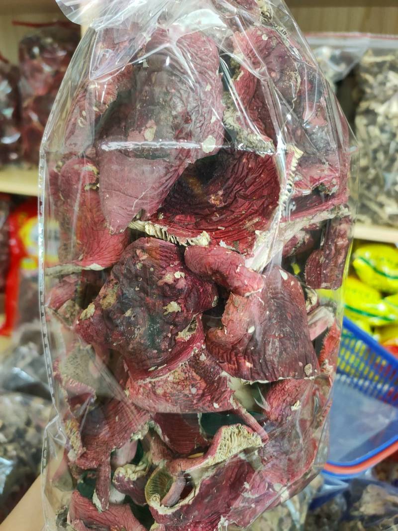 红菇