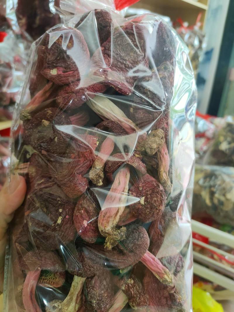 红菇