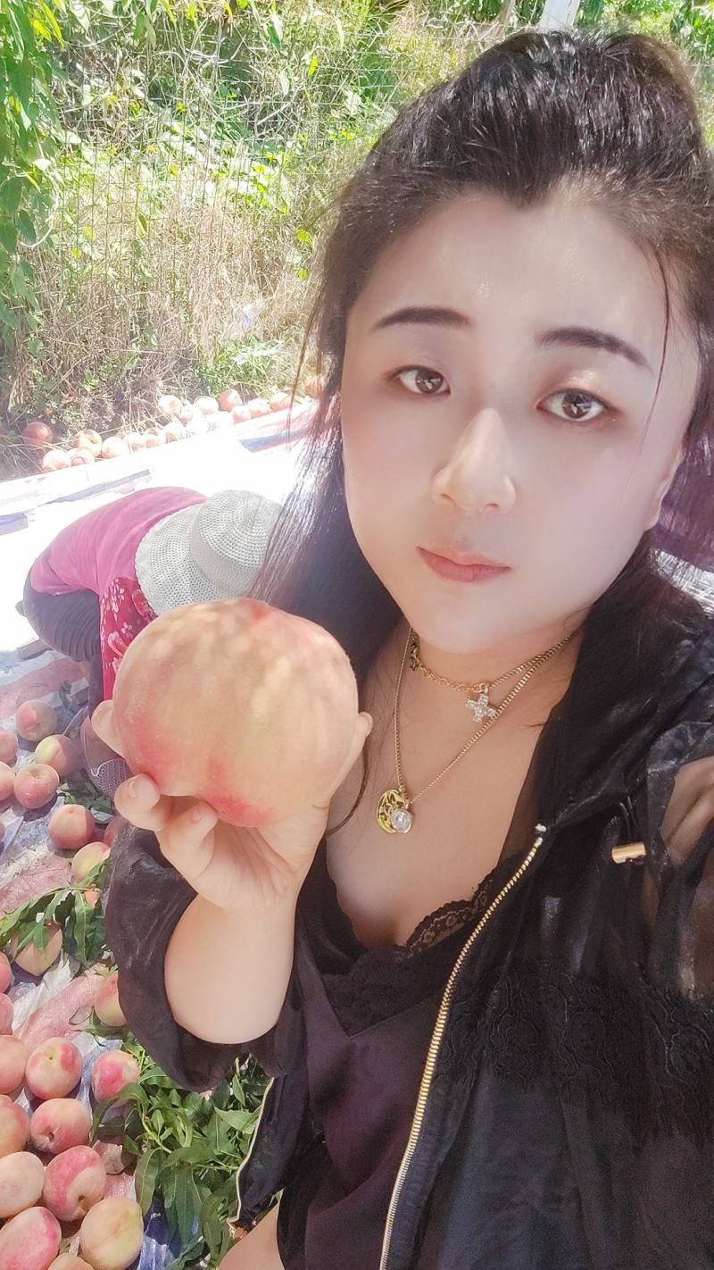 费县仓方早生大红桃，大红袍桃子，大量上市货源充足