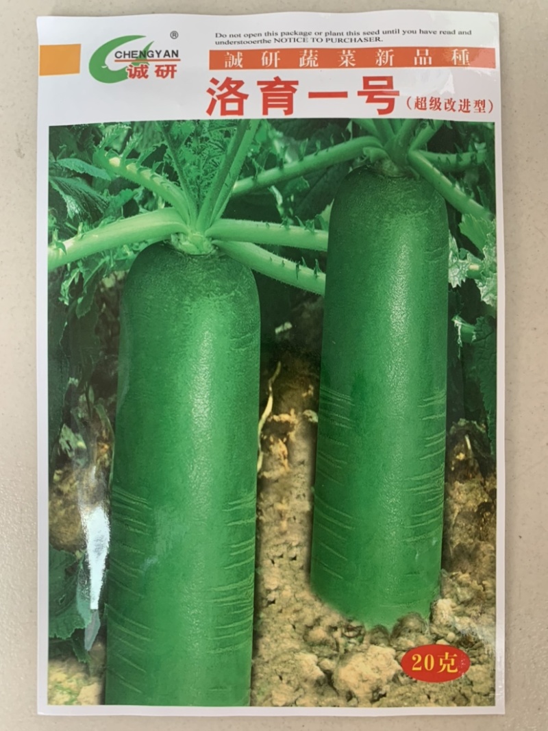 洛育一号萝卜稳产，丰产，质脆甜，较耐贮存。
