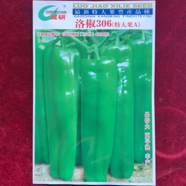 洛椒306（特大果A），最大单果可达200—300g之间