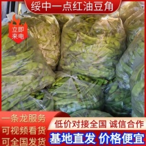 一点红油豆，绥中豆角，油豆角，基地直发，价格便宜，全国发货