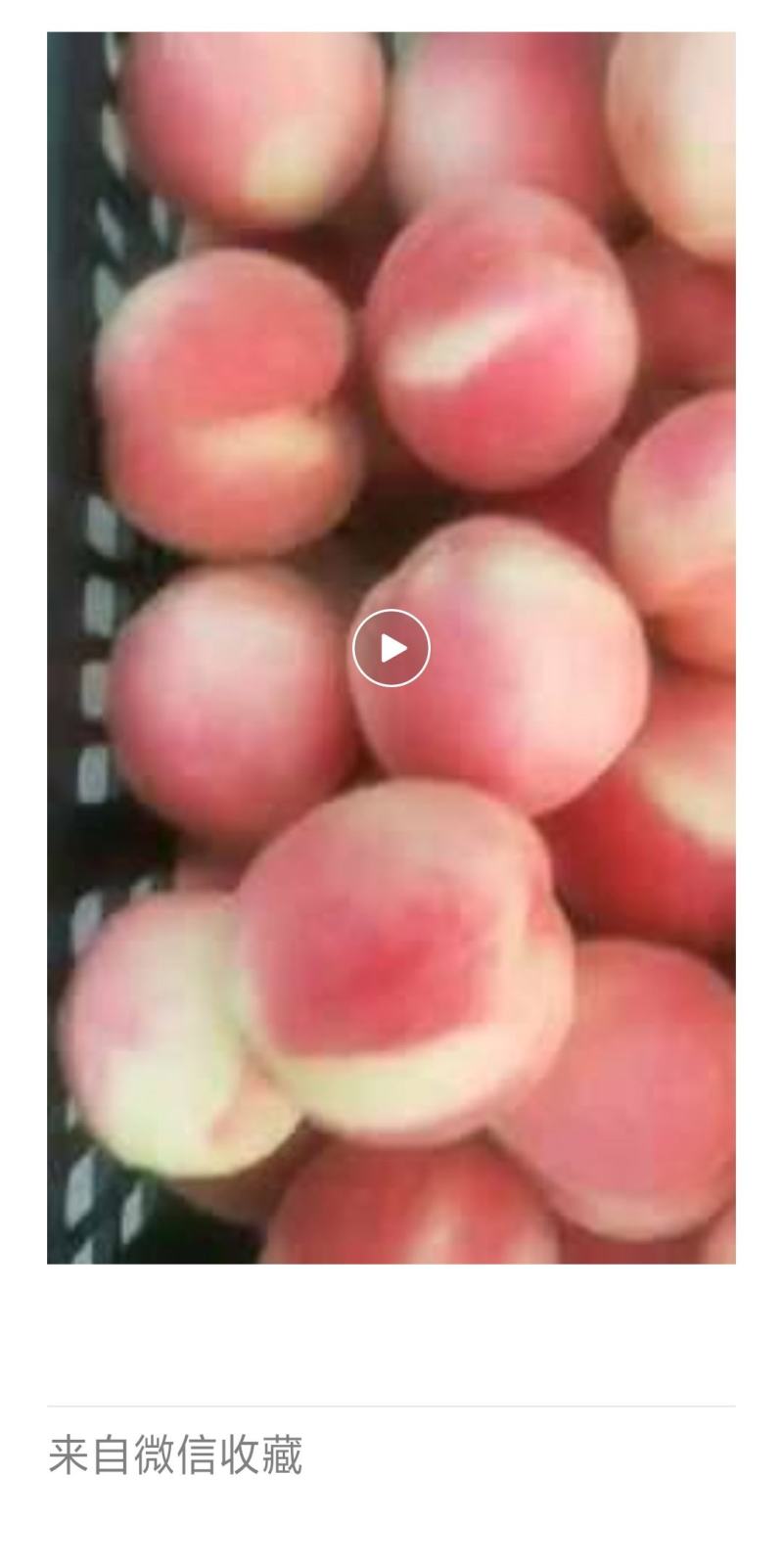精品红不软毛桃个大，口感脆甜色泽鲜艳基地直接供应！