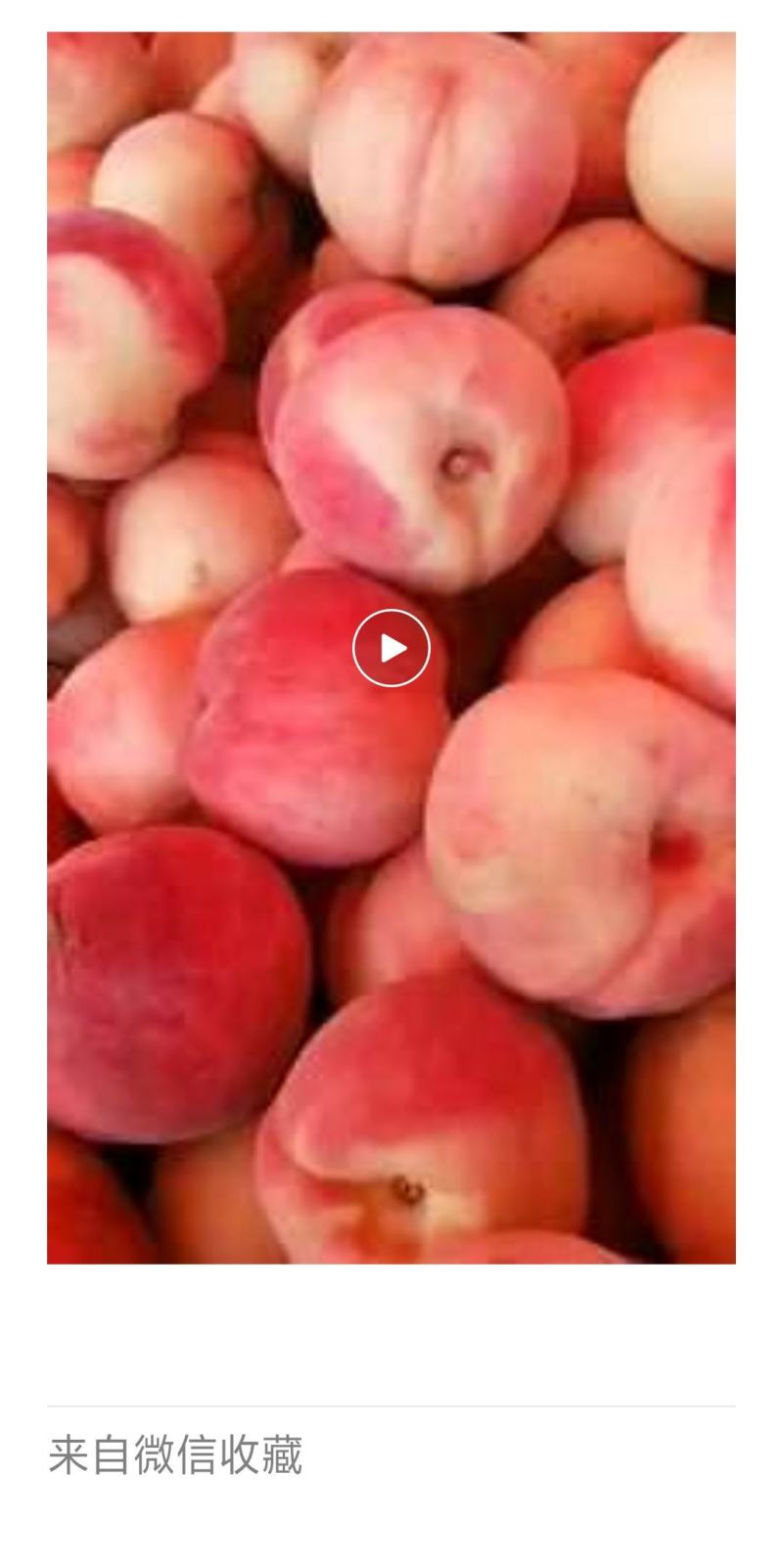 精品红不软毛桃个大，口感脆甜色泽鲜艳基地直接供应！