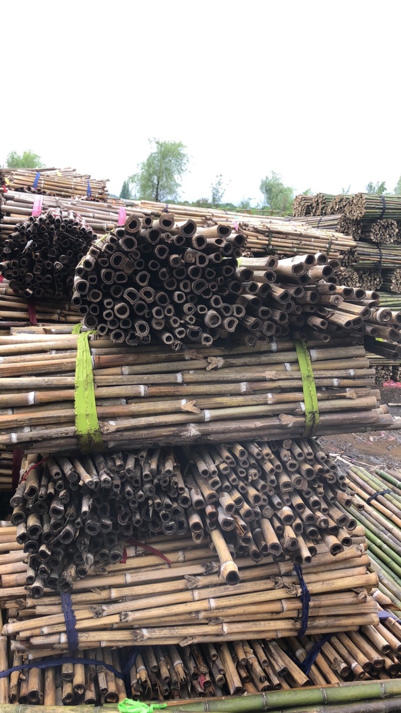 65厘米至3.5米毛竹韭菜架茄子果蔬小苗支架杆小竹竿