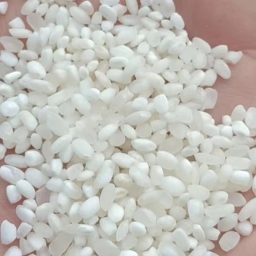 东北圆白米食堂米价格优惠