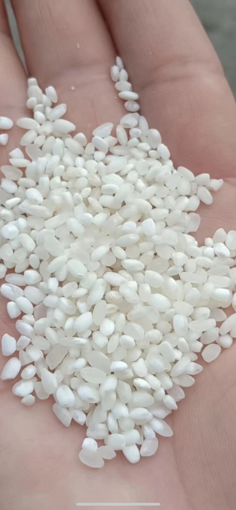 东北圆白米食堂米价格优惠