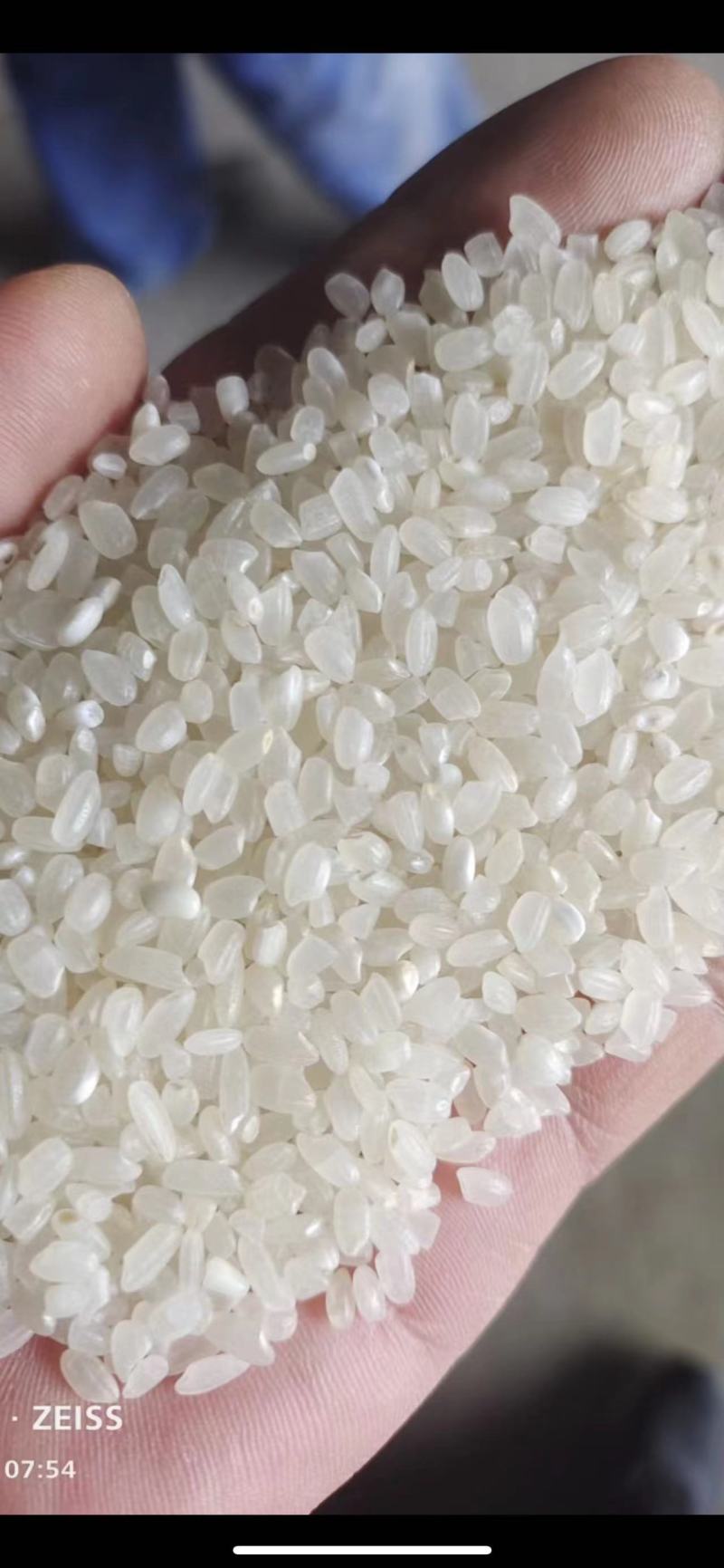 东北圆白米食堂米价格优惠