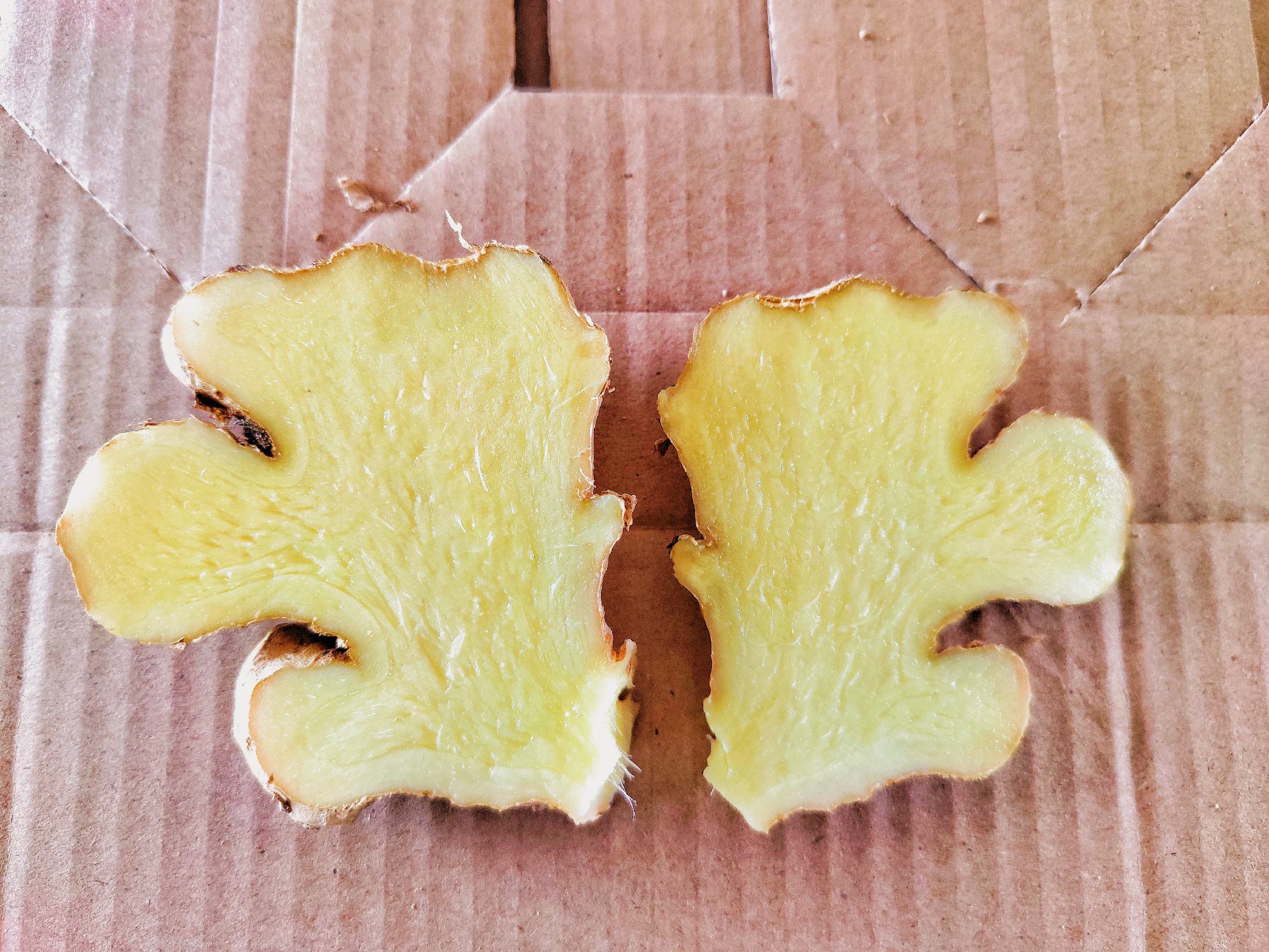生姜切片加热后贴敷在膝盖上的示意图