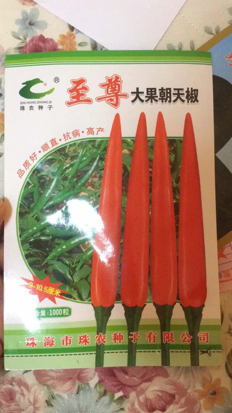 天香朝天椒种子，抗病需要的请联系，诚信经营，平台下单