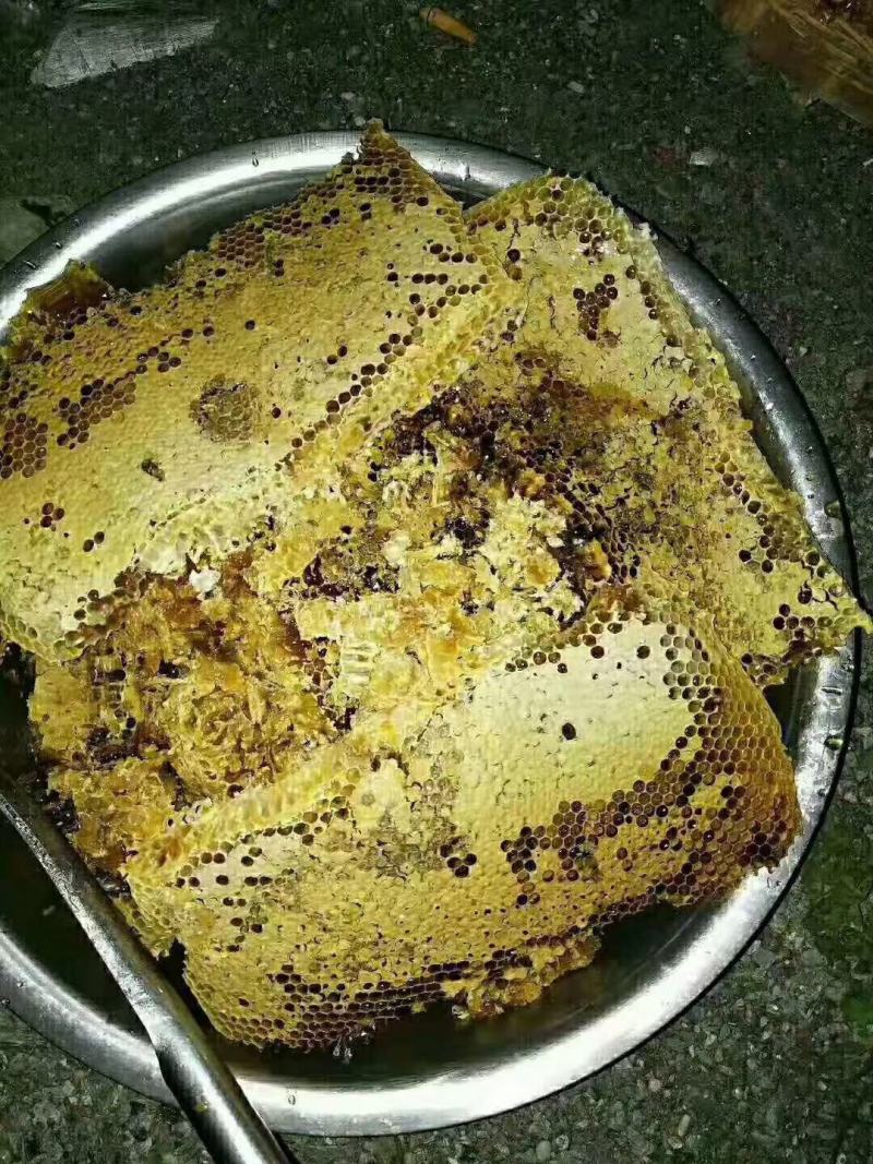 农家老槽土蜂蜜