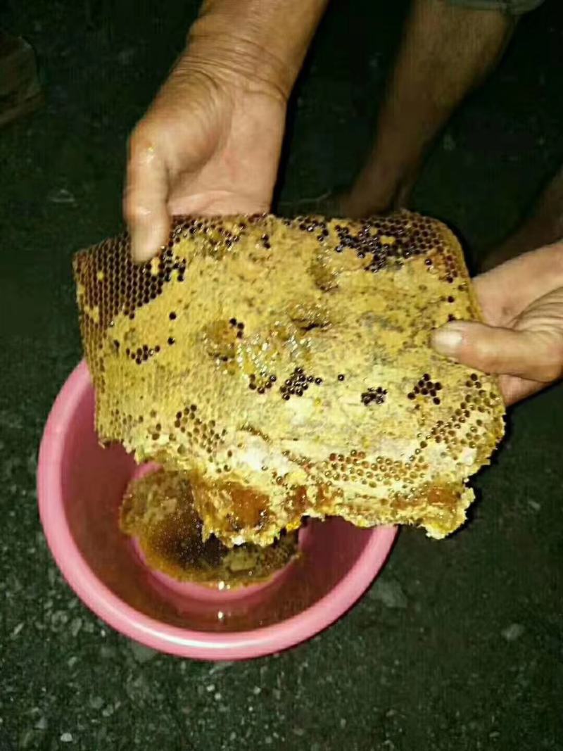 农家老槽土蜂蜜