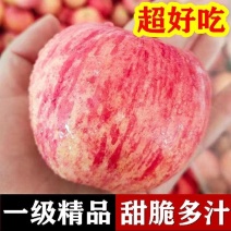 山东冷库纸袋红富士苹果，大量有货保质保量，价格便宜