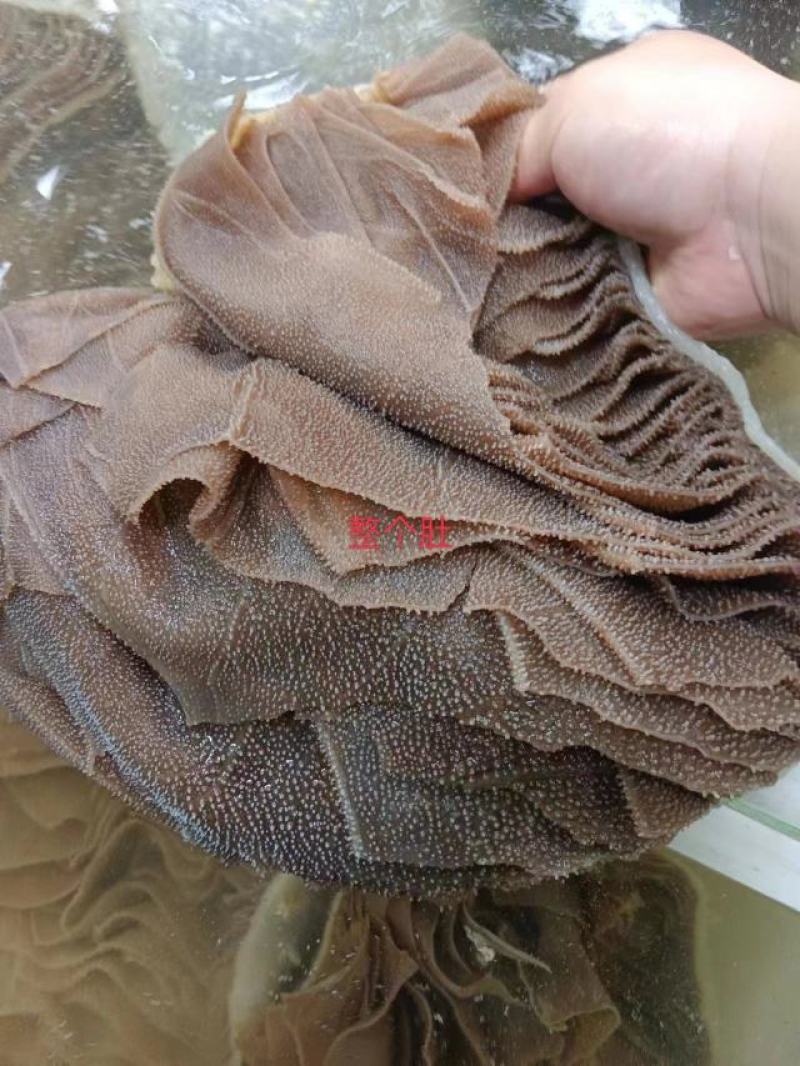 黑个毛肚，火锅搭档，麻辣烫自助餐，凉拌佳品，脆爽美味