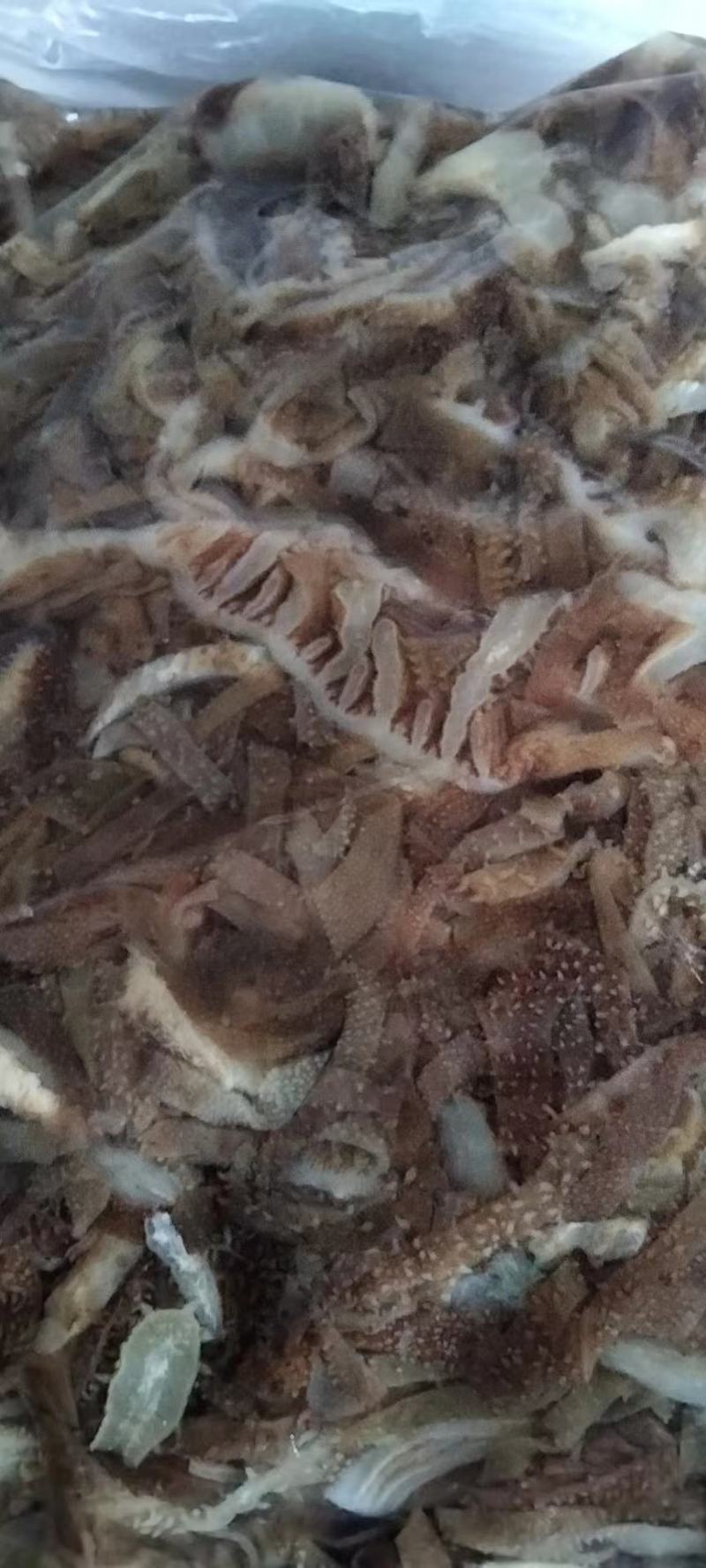 碎黑千层肚，自助餐，爆肚，粉面馆食品厂适用，支持预定
