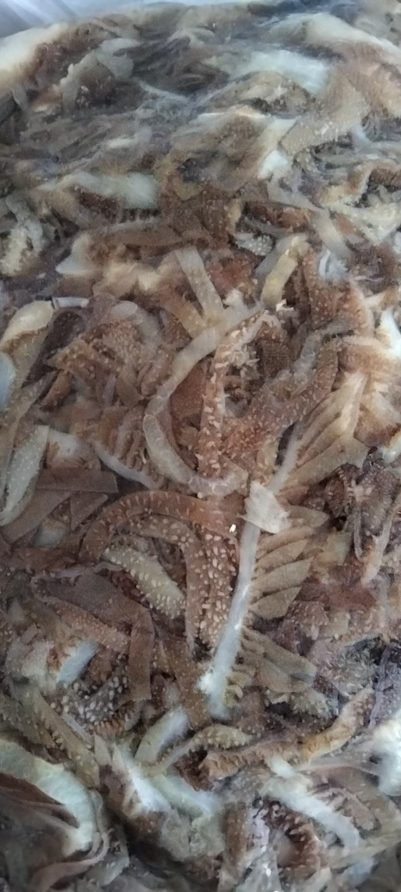 碎黑千层肚，自助餐，爆肚，粉面馆食品厂适用，支持预定