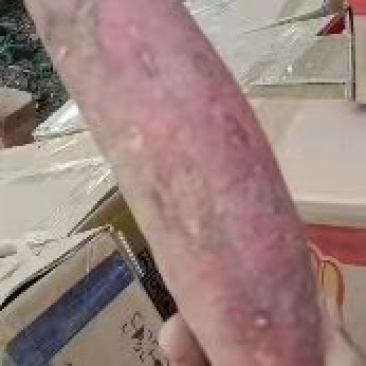 翠玉梨