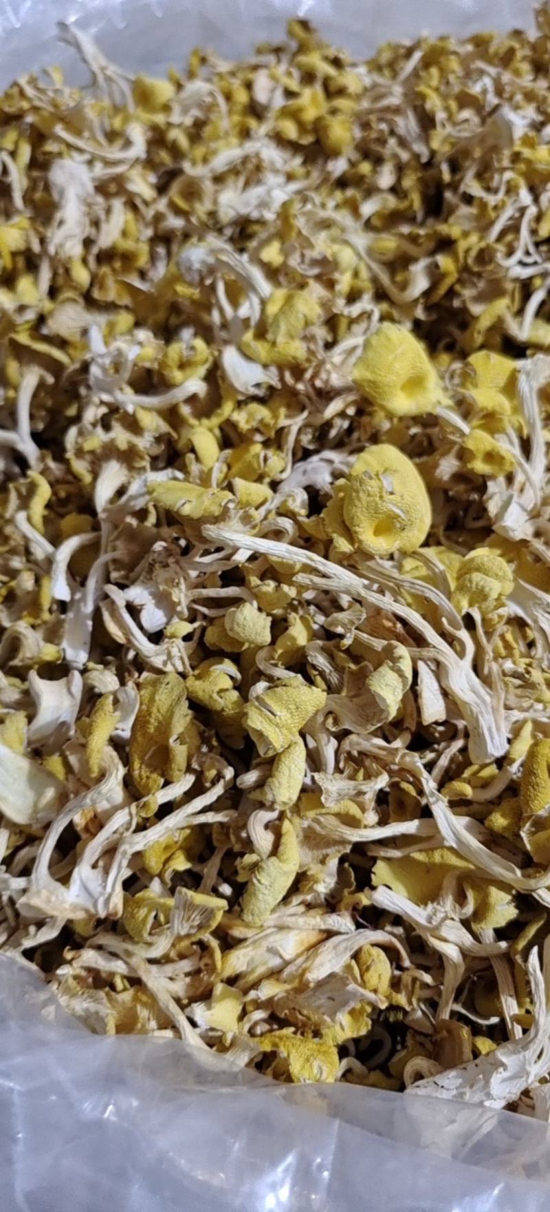 鸡油菌干货黄金菇菌汤包产地直发一手货源全国供应