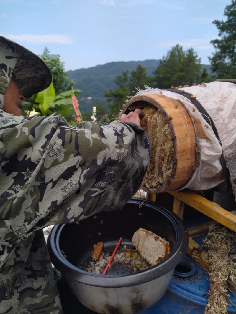 真正正宗土蜂蜜天热野生农百花蜜土蜂蜜巢可以嚼着吃有巢有蜜