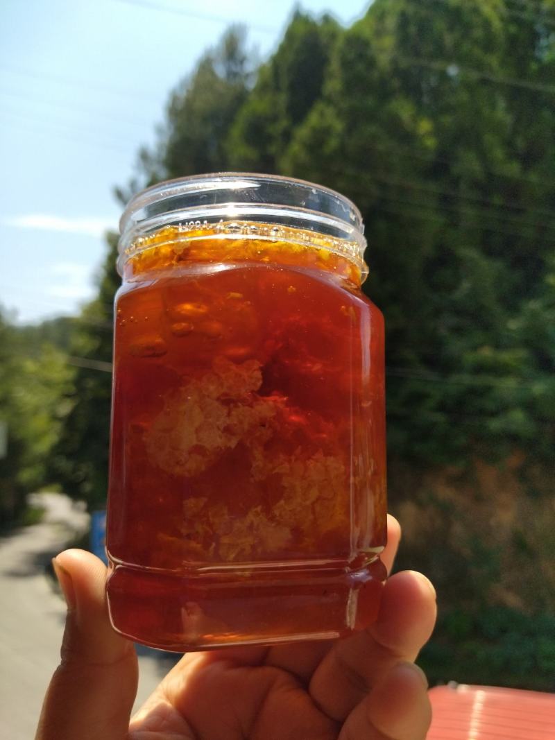 真正正宗土蜂蜜天热野生农百花蜜土蜂蜜巢可以嚼着吃有巢有蜜