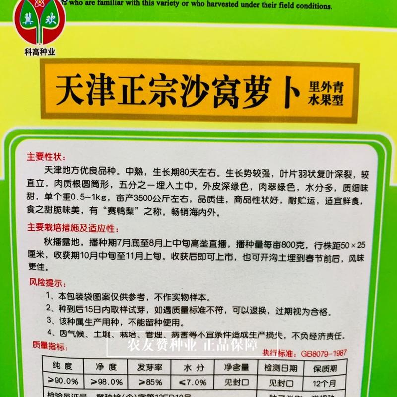 天津正宗沙窝萝卜种子里外青水果型萝卜种子