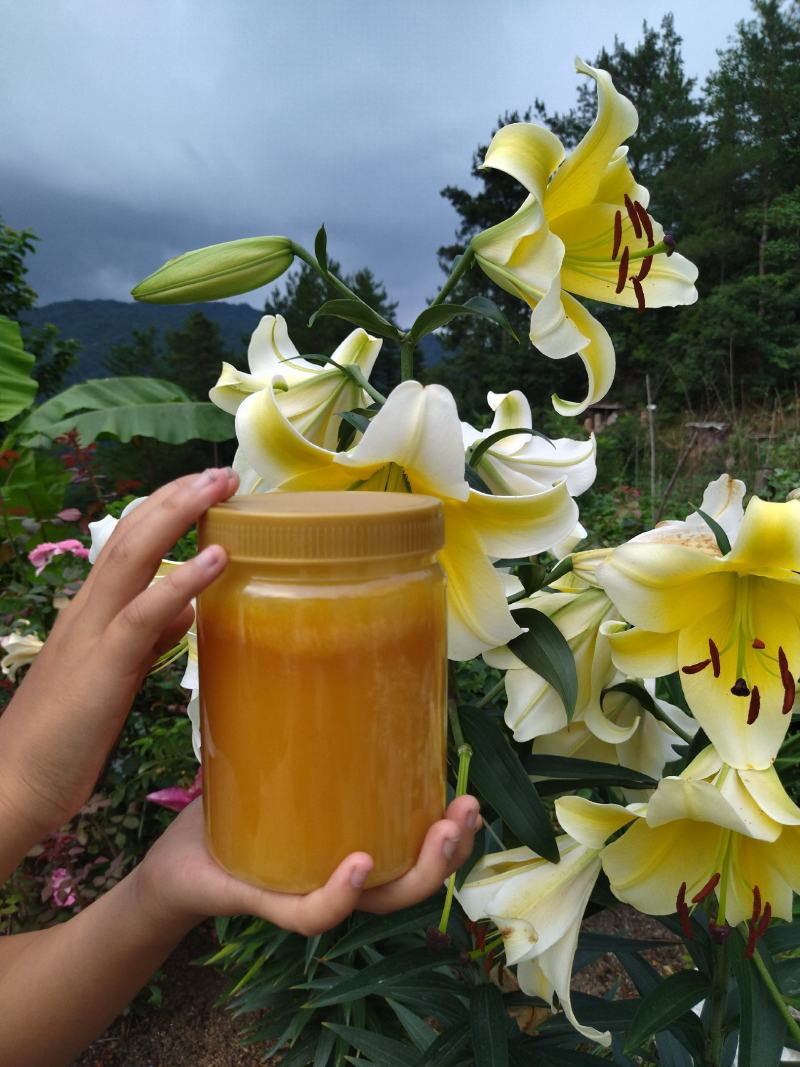土蜂蜜正宗天然野生农家百花蜜高山蜂蜜自产自销