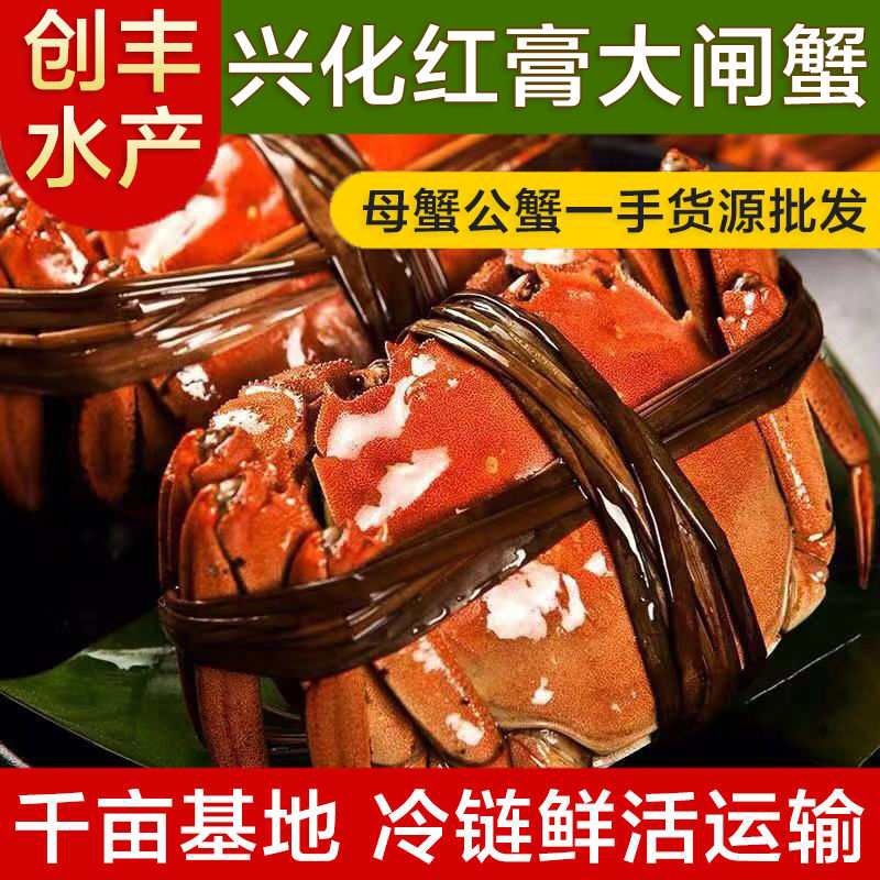 江苏兴化大闸蟹养殖基地一手货源精品蟹基地直供