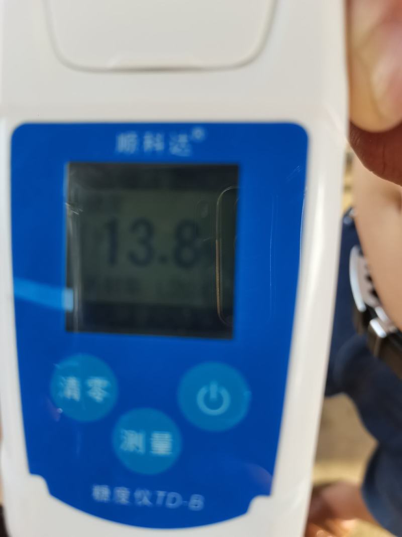红不软桃，毛桃，脆甜可口，果大，颜色鲜艳。