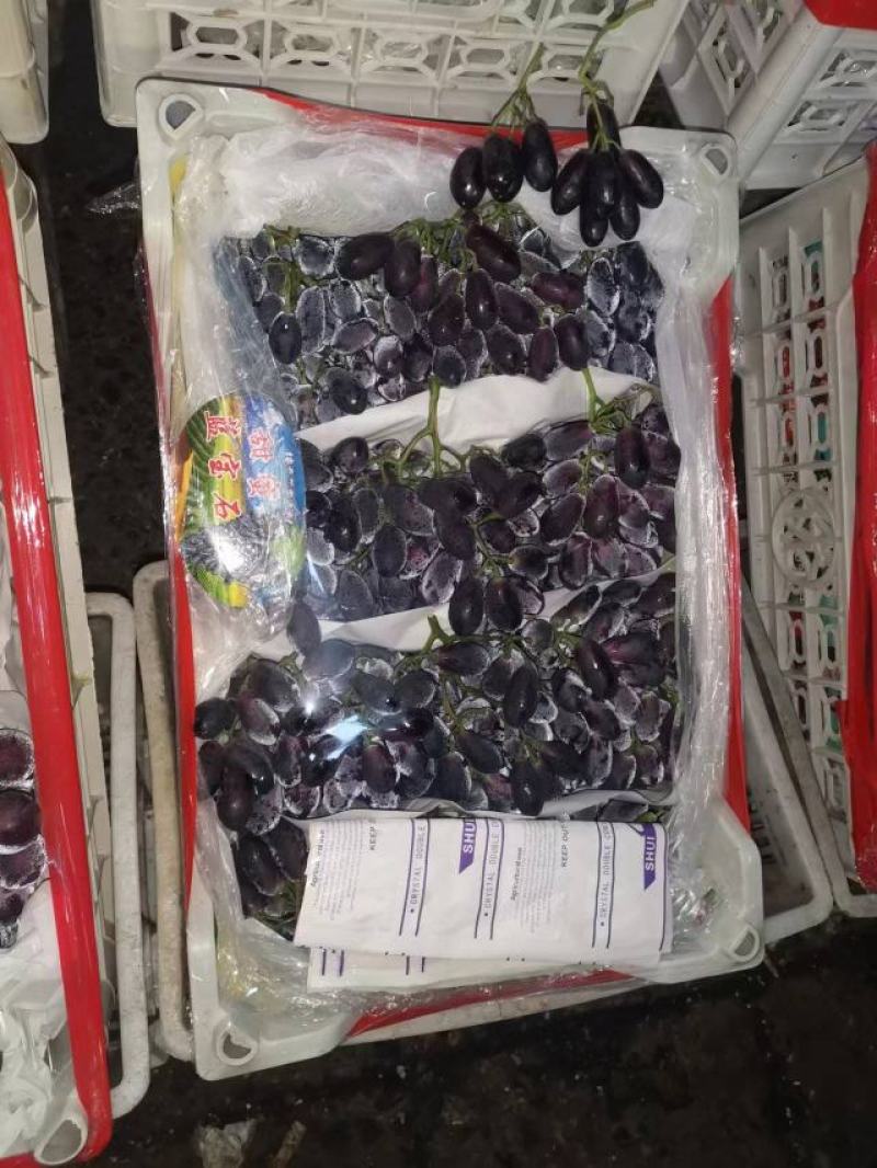 威县京亚葡萄