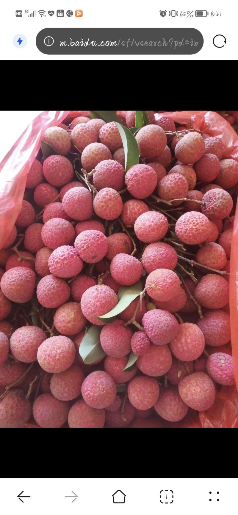 广西禾荔荔枝精品六月红大量上市中产地直供全国发货