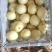 【河北黄冠梨】大量现货，欢迎客户洽谈合作诚信经营