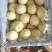 【河北黄冠梨】大量现货，欢迎客户洽谈合作诚信经营
