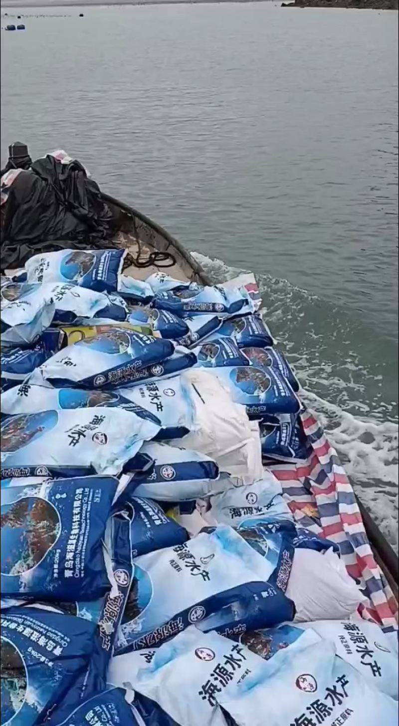 半干海参正宗鲜活大辽参厂家直销特价批发干货拉缸盐