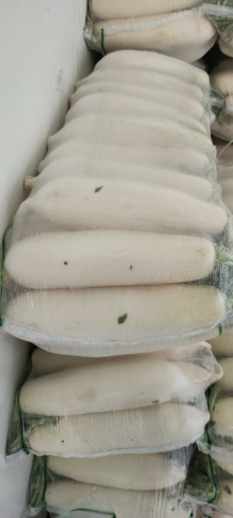 白萝卜，白萝卜上市中，一年四季供应，新鲜大量供应。