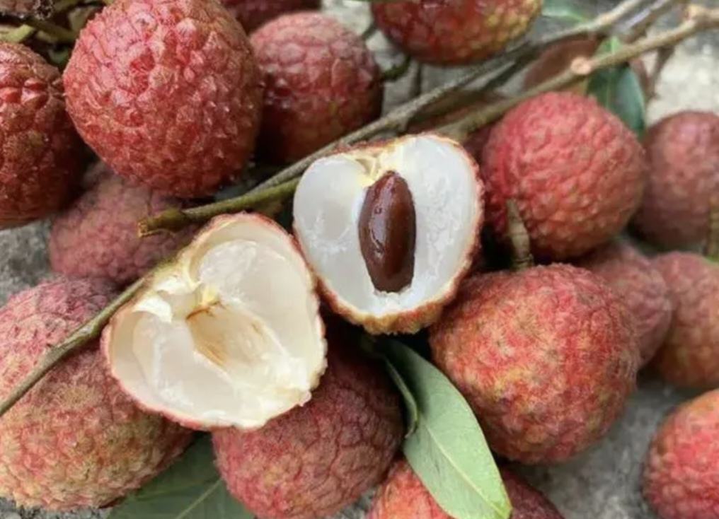 展示6月红荔枝的果实细节,包括果皮颜色、果肉质感和整体外观 6月红荔枝果实特写